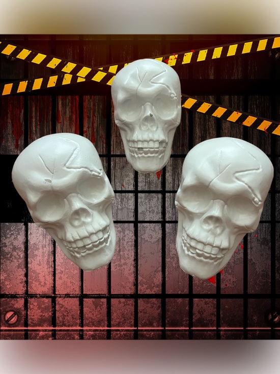 Other - White Decorative Skull heads set of 3
